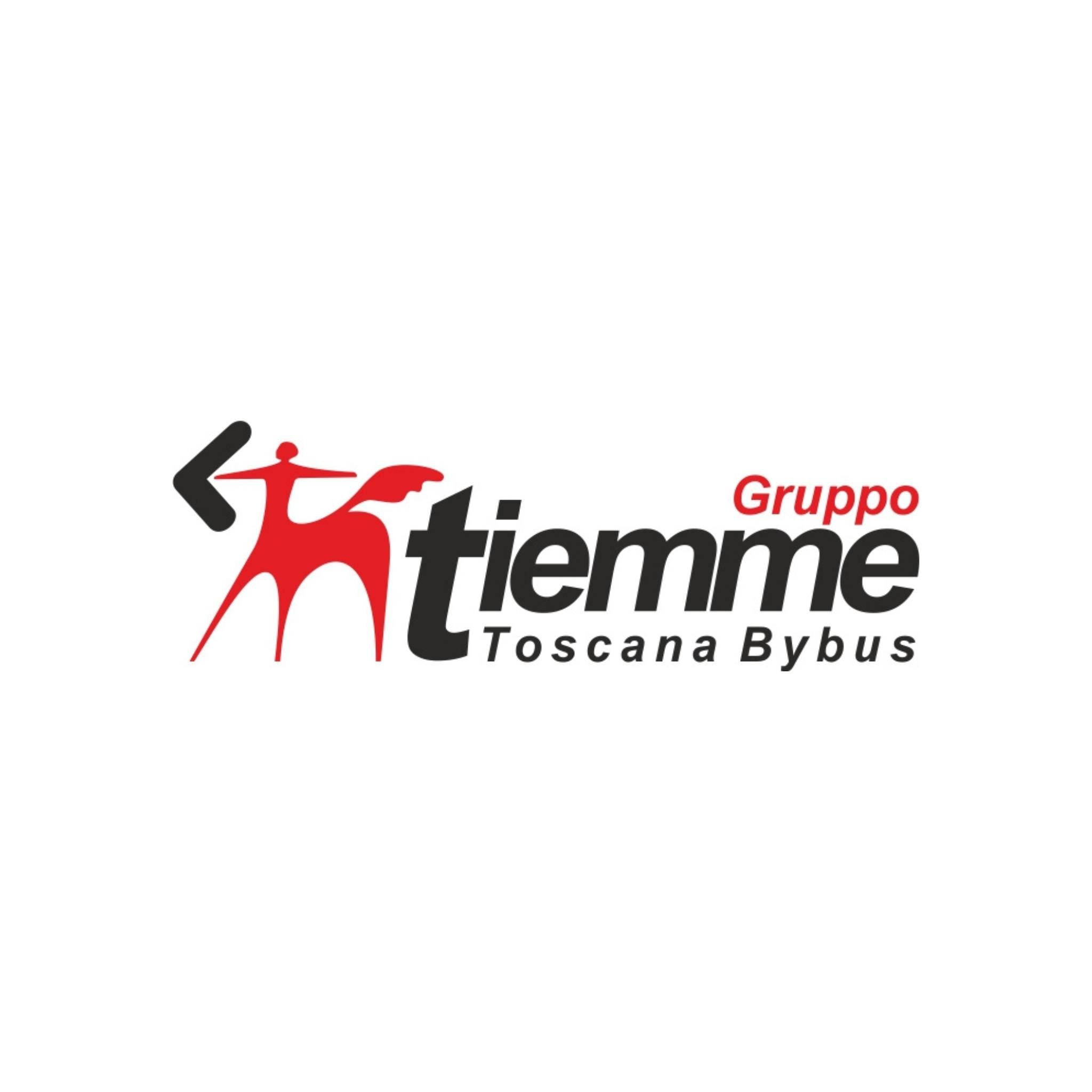 tiemme TIEMME SPA Logo & Brand Assets (SVG, PNG and vector) - Brandfetch