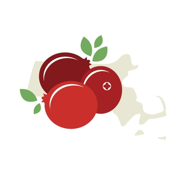 Massachusetts Cranberries's icon