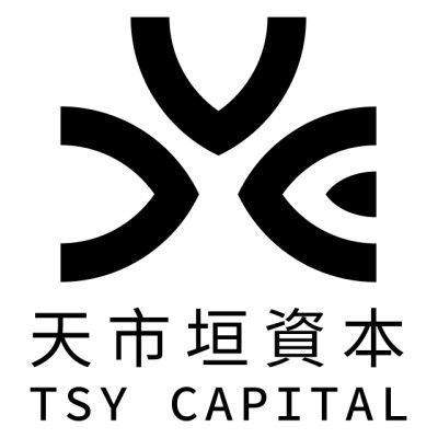 TSY Capital's icon