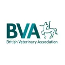 BritishVets's icon
