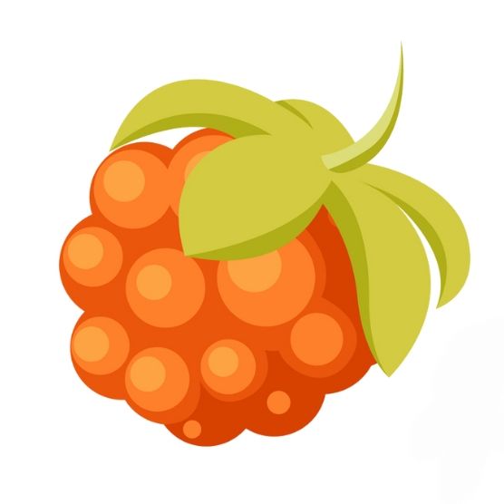 Lakka koolitus's icon