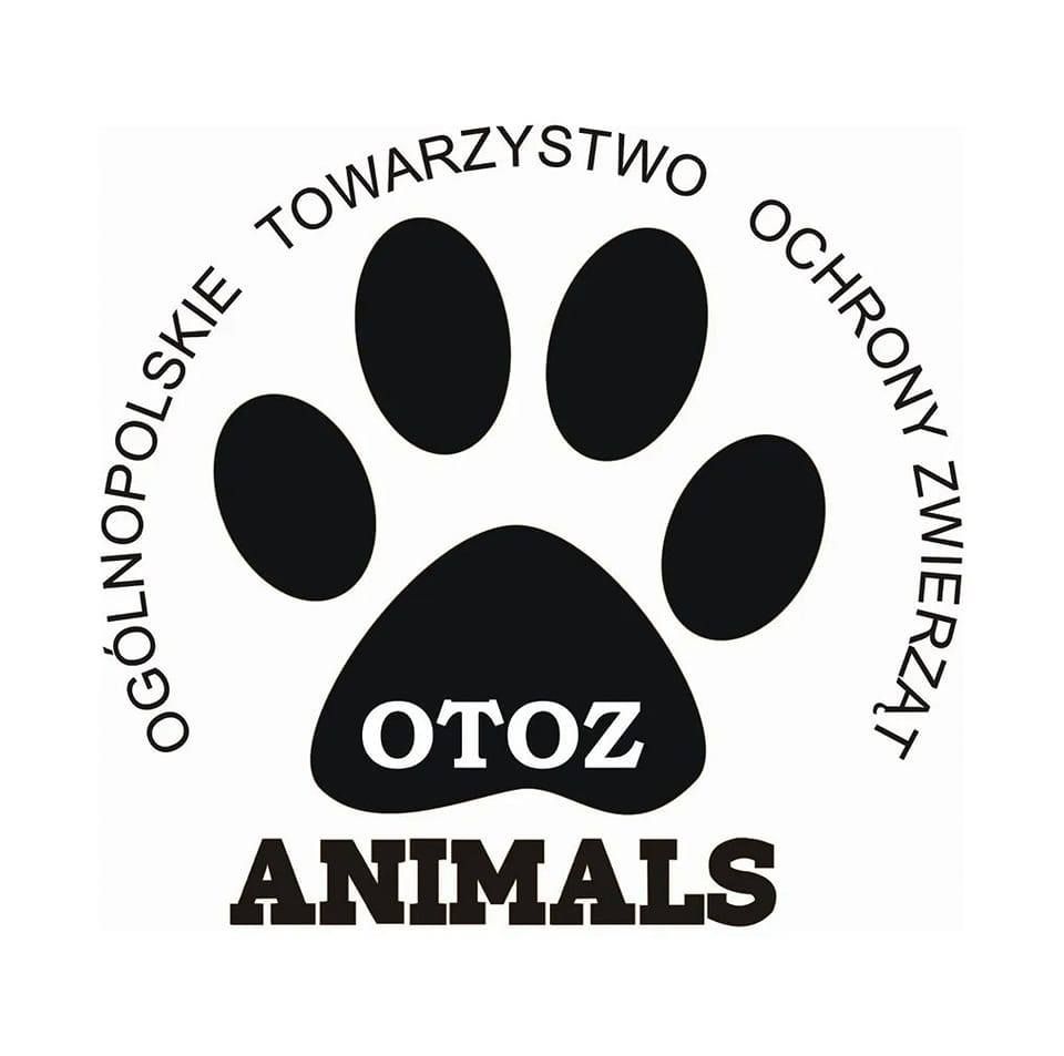 OTOZ's icon