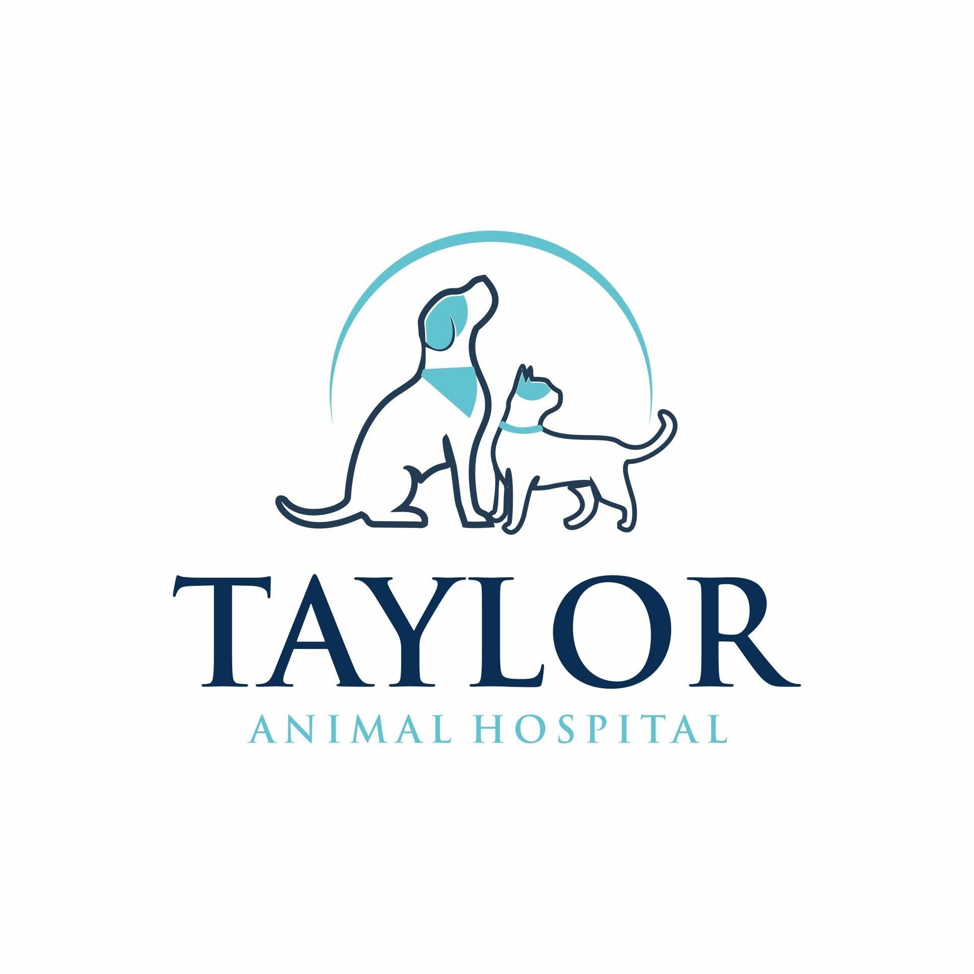Graef Veterinary Hospital's icon