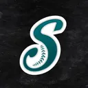 Saraperos de Saltillo's icon