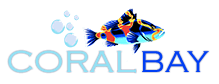 Corl Bay Srl's logos