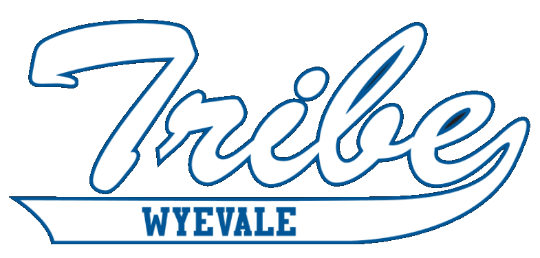 wyevaleminorsoftball.com's logos