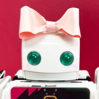 PLEN Robotics (Japan)