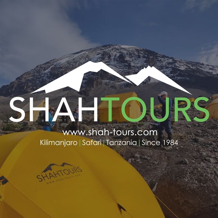 Shah Tours's icon