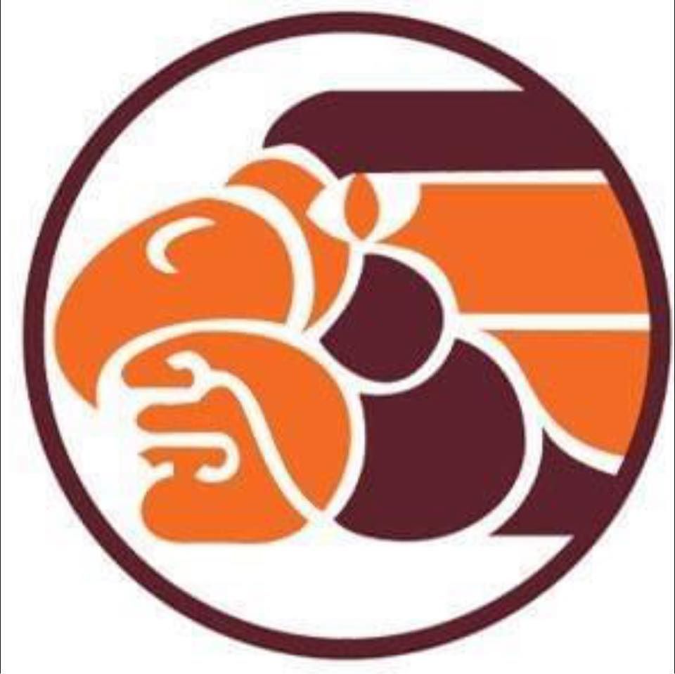 El Metro Transit's icon