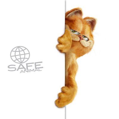 Fundacja SAFE-ANIMAL's icon