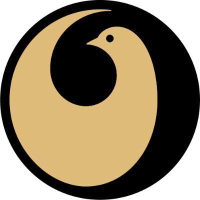 Iceland Symphony Orchestra's icon