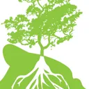 Ola Design Group's icon