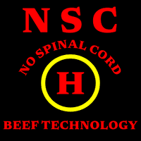 NSC Beef Processing, LLC logo