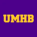 Mary Hardin-Baylor's icon