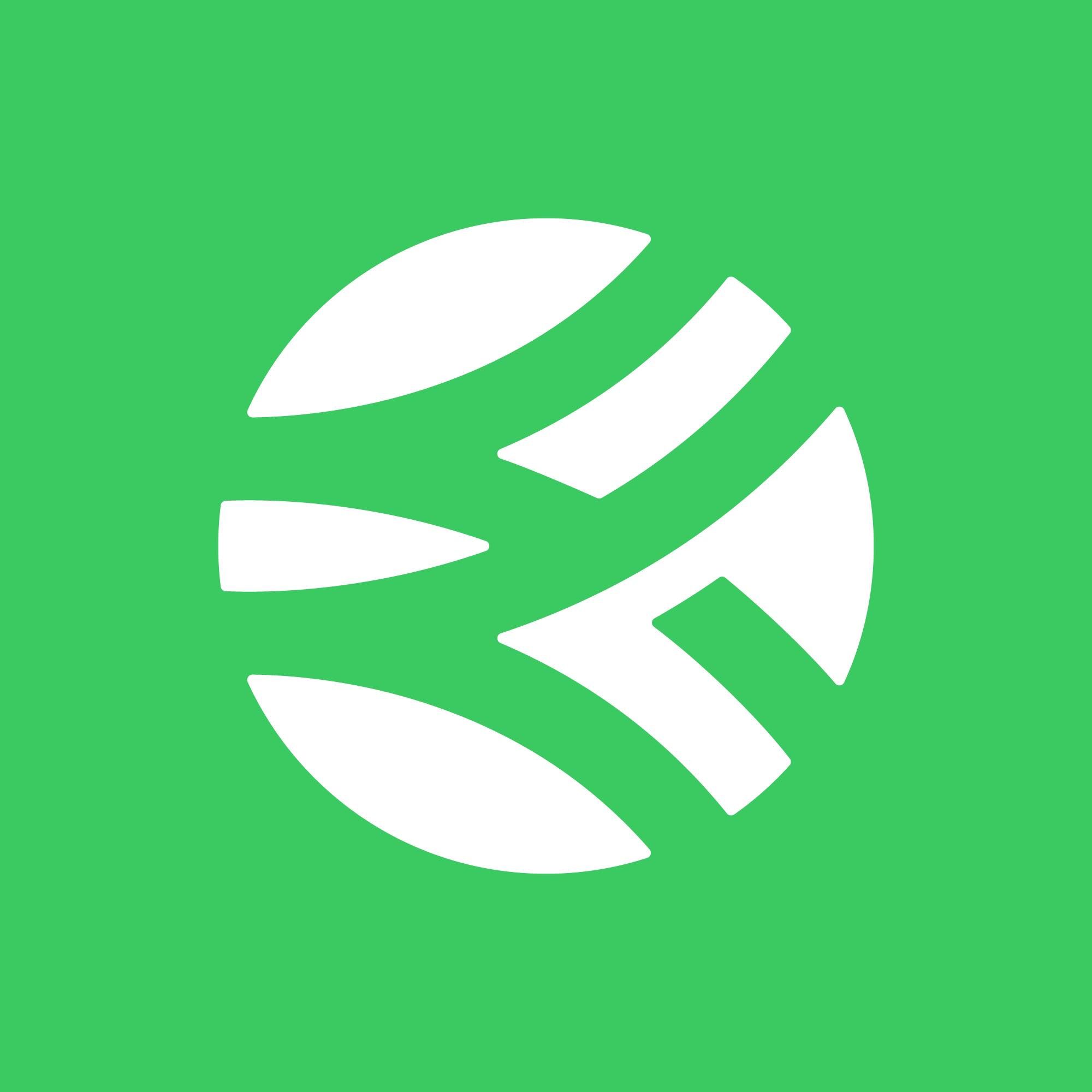 Euroteam's icon