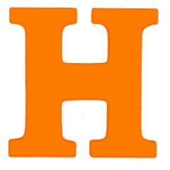 hostrazzi.com's icon