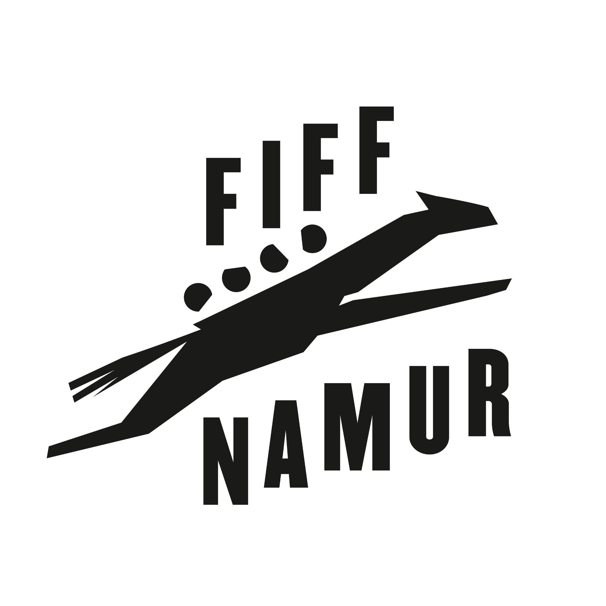 Festival International du Film Francophone de Namur Logo \u0026 Brand Assets  (SVG, PNG and vector) - Brandfetch, image size:2048x2048
