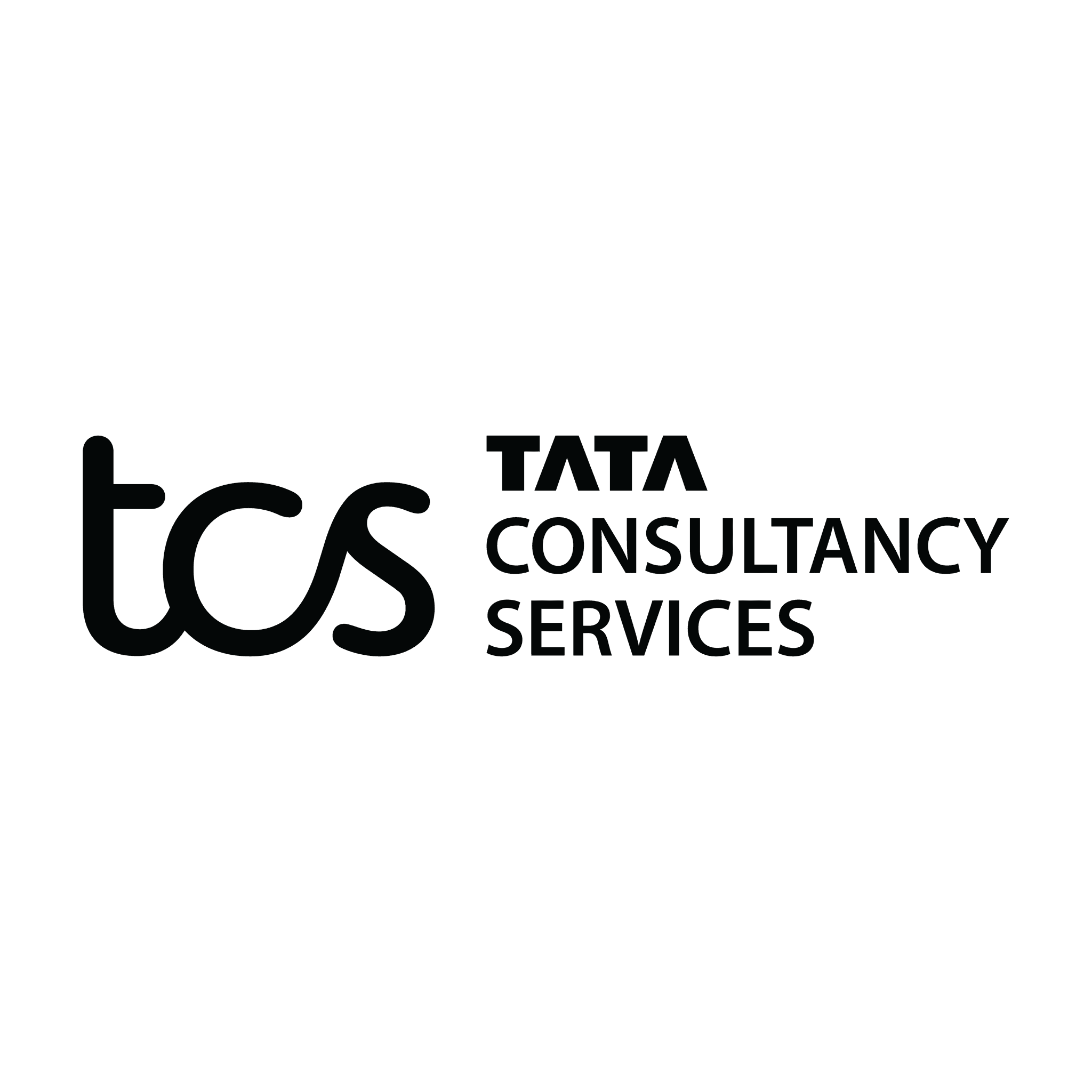 Tata consultancy services logo brand assets svg png and vector