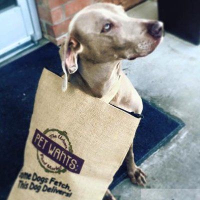 Pet Wants logo