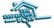 The Inspection Boys logo