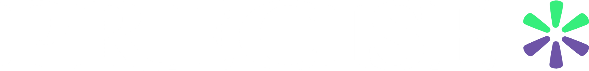Precise Events International's logos