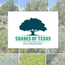 Shades of Texas's icon