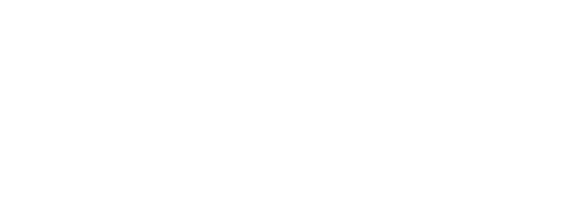 Arch Insurance Group Inc. logo