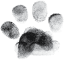 Bowie Barker logo