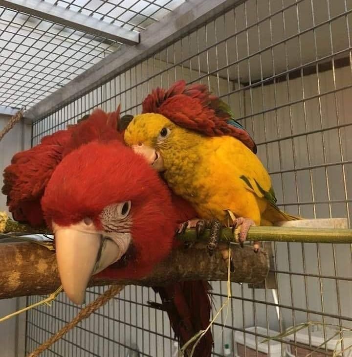 Timie's Bird's brand icon