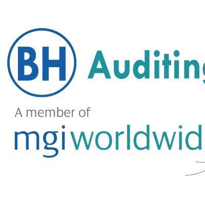 B&H auditing's icon