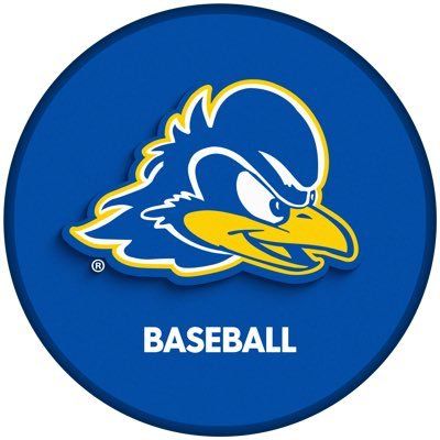 Delaware Baseball's icon