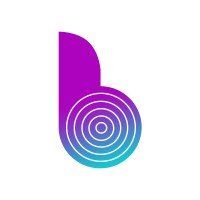Binary Semantics Ltd.'s icon