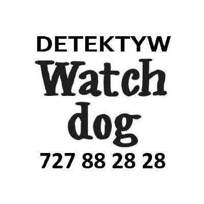 Detektyw Watchdog's icon
