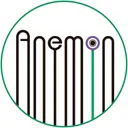 Anemon's icon