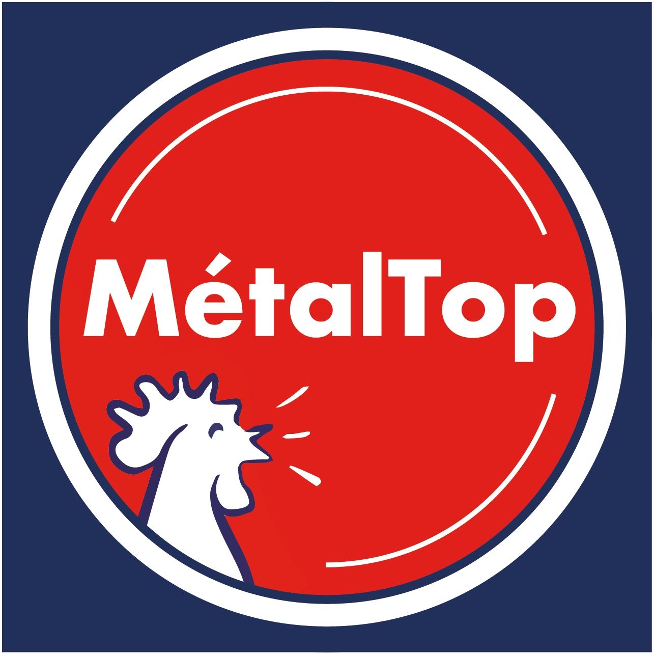 Métaltop's icon