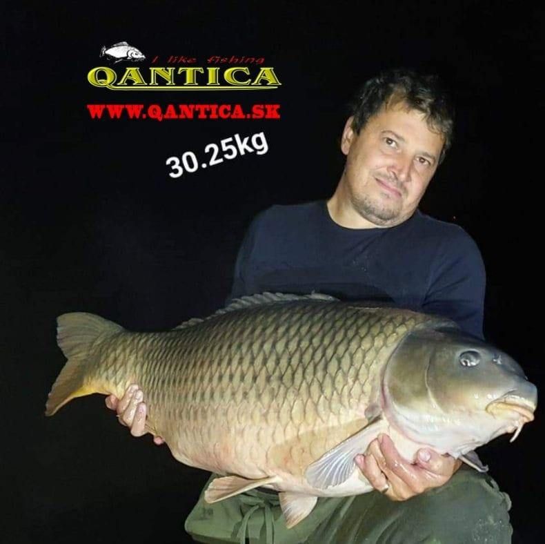 Qantica Mteam's icon