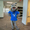 Pitt Community College's icon
