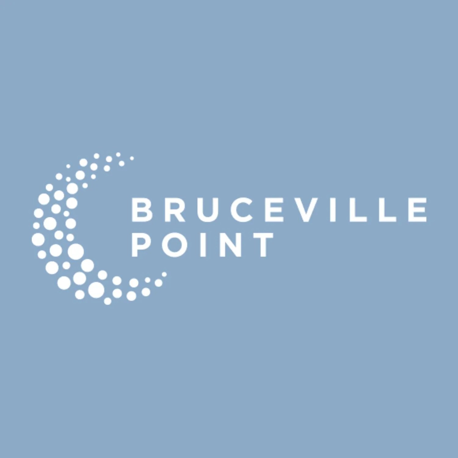 Bruceville Point logo