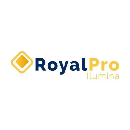 RoyalPro.cl's icon