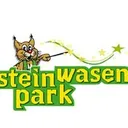 Steinwasen Park's icon