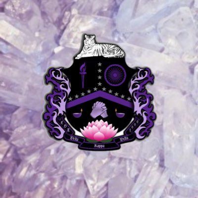 Delta Kappa Delta's icon