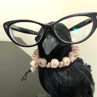 Peow Rainha da Loja Reversa's icon