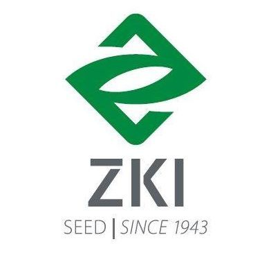 ZKI's icon