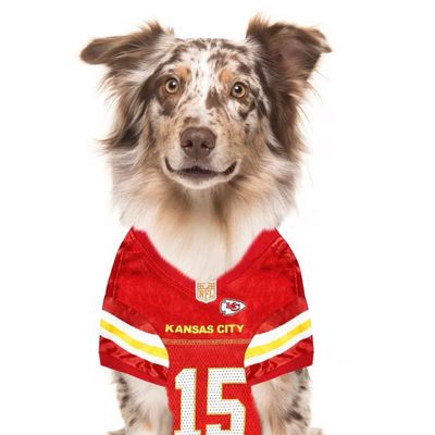 Pets First Company