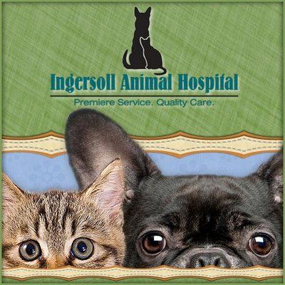 Ingersoll Animal H.'s icon