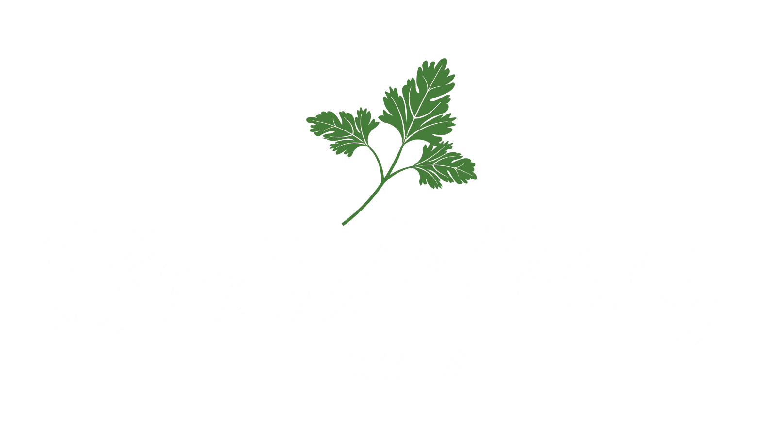 Brett Anthony Foods logo