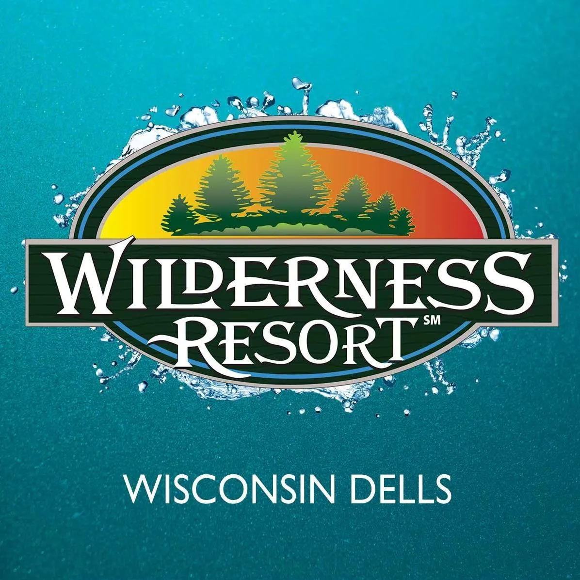 Wilderness Resort logo