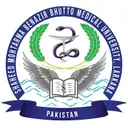 SMBB Medical University Larkana's icon