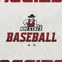 NM State Baseball's icon