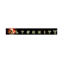alternityrpg.net's icon